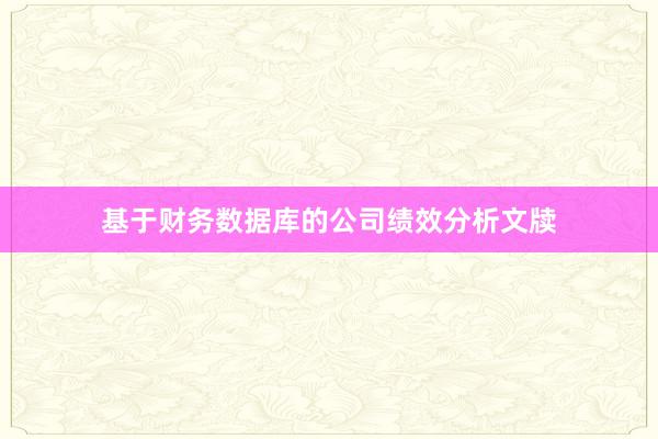 基于财务数据库的公司绩效分析文牍