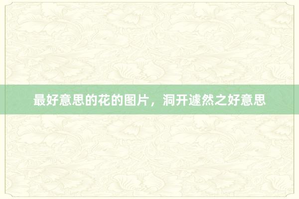 最好意思的花的图片，洞开遽然之好意思